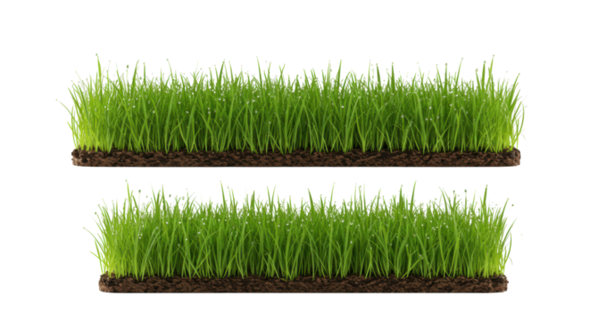 Photorealistic macro shot of three vibrant green grass segments with brown soil and glistening dew drops, arranged on a transparent studio background, nature freshness concept