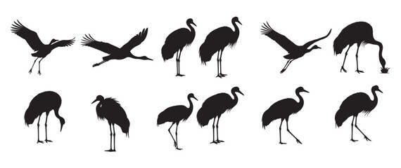 crane bird silhouette white background