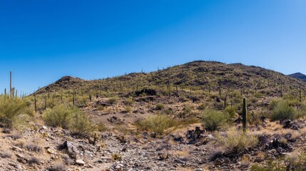 Fototapeta premium Rocky desert plateau under bright blue sky with scattered cactus plants, high-resolution natural landscape photography