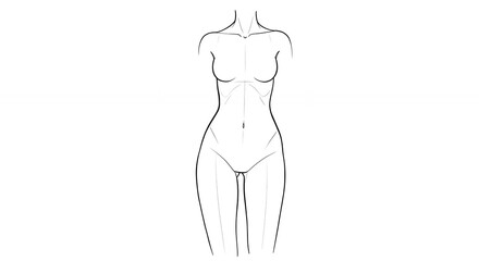 Fototapeta premium Human torso sketch illustration on white background for design and creative projects