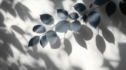 Blue leaves cast shadows on a white wall.