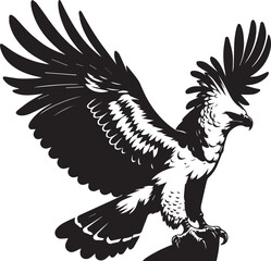 Harpy Eagle Vector in black and White