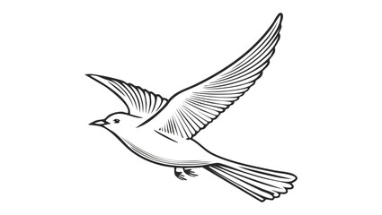 Obraz premium Elegant line drawing of a flying dove, a symbol of peace, hope, and freedom on a white background