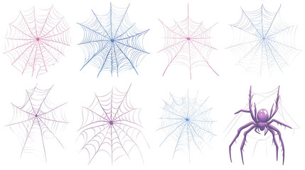 Spider web, spider, Christmas material, Halloween, Easter, transparent picture, cutout, png