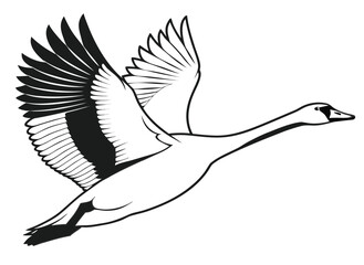 Obraz premium vector illustration of a flying bird