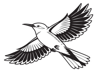 Fototapeta premium bird in flight