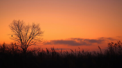 穏やかな秋の夕暮れ