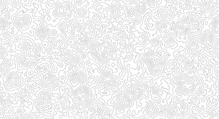Detailed topographic map contour lines on white background representing landscape