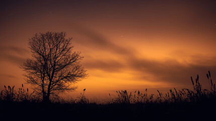 沈む陽と黄金の木々