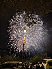 fireworks over the river
