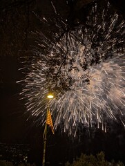 fireworks in the sky