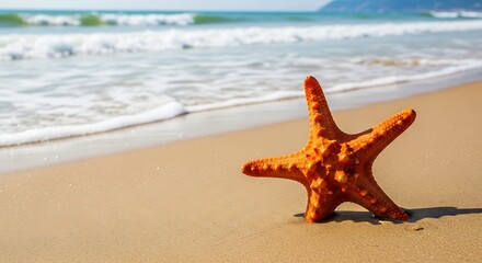 Starfish on Sandy Beach with Ocean View.