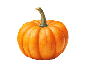 Watercolor halloween fresh orange pumpkin isolated on transparent background