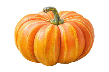 Watercolor halloween ripe pumpkin isolated on transparent background with green stem