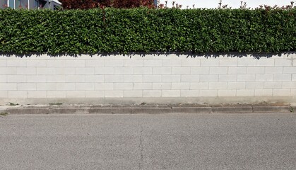 Concrete block fence with hedge on top. Cement sidewalk and street in front. Background for copy space