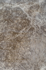 Textured marble surface features intricate patterns and natural veins, displaying a blend of earthy tones and subtle highlights, perfect for backgrounds and design projects, vertical photo