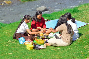 Four friends grill skewers and chicken on the riverside grass, one adding seasoning to the meat...