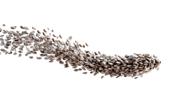 flying chia seed isolated on transparent background Remove png,