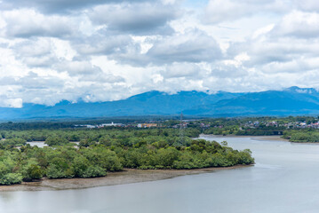 Lush green riverbanks near Buenaventura, Colombia, with dense tropical vegetation. 