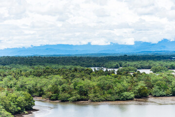 Obraz premium Lush green riverbanks near Buenaventura, Colombia, with dense tropical vegetation. 