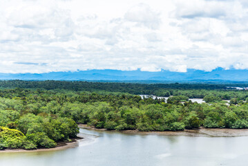 Lush green riverbanks near Buenaventura, Colombia, with dense tropical vegetation. 