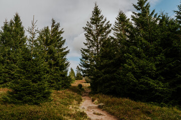 Tanet Berg im  Herbst in den Vogesen am Altrhein in Frankreich