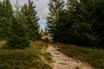 Tanet Berg im  Herbst in den Vogesen am Altrhein in Frankreich