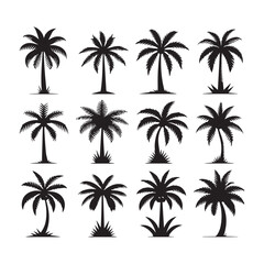 Fototapeta premium Palm Tree Icon Set — Tropical Silhouette Vector and Logo