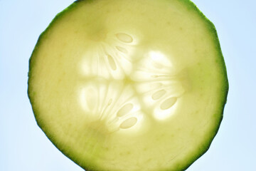 Cucumber slice against the light