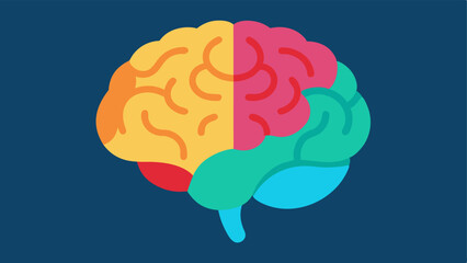 Brain Imaging A detailed section of the brain from an MRI scan featuring bright colors to illustrate regions connected to cognitive health and longevity.