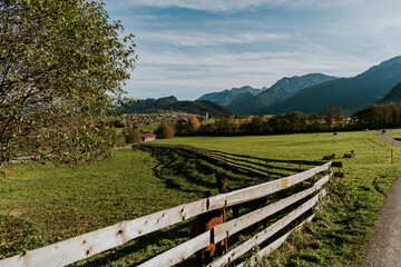 Schattwald im Allgäu im Sonnenuntergang im Herbst