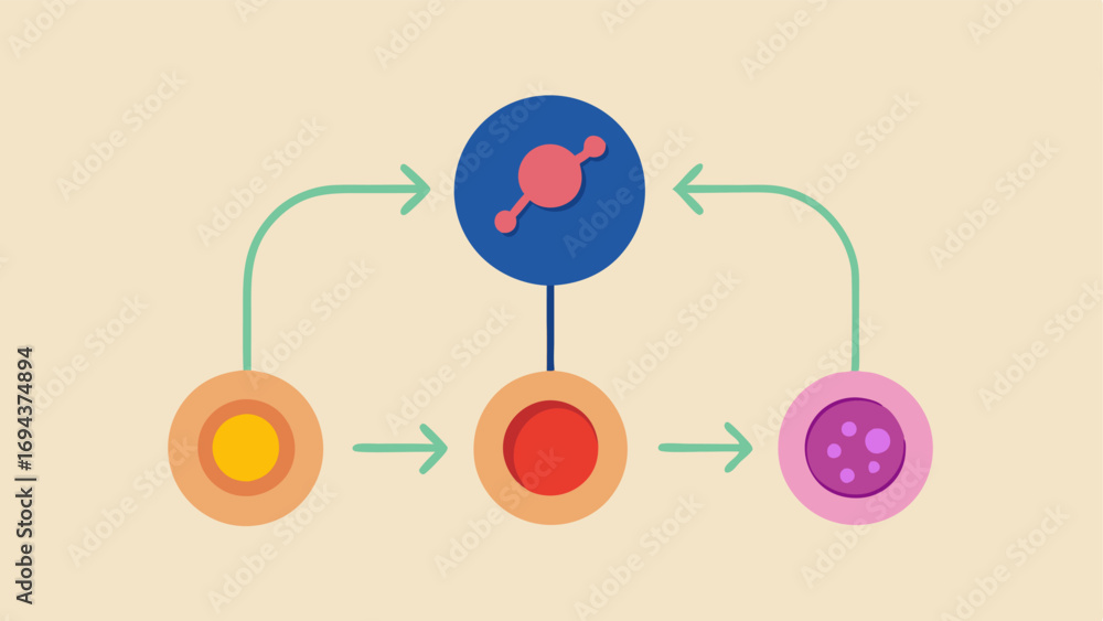 Poster cell signaling process a simple flowchart illustrating how exosomes release signals to skin cells th