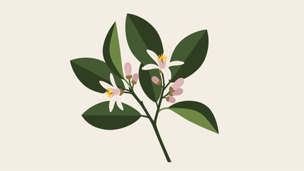 Minimalist Botanical Branch with White and Pink Blossoms