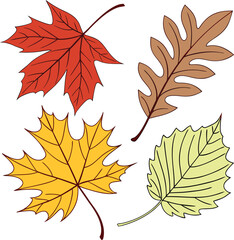 Fototapeta premium Fall Vector Files, Autumn Leaf, Thanksgiving File, Colorful Leaves