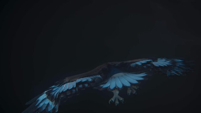 Eagle fly and thunder at night