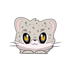 Cute Snow Leopard Face