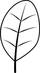 Botanical Tropical Leaf outline hand drawn
