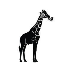 Silhouette giraffe eating leaves wild animal illustration vector art isolated vector