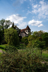 Obraz premium Church and park in Murrhardt with weeping willow under blue sky
