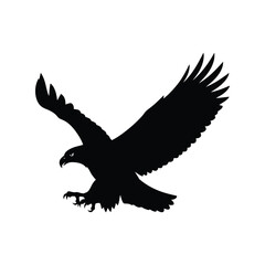 Silhouette raptor bird eagle hawk owl flying swooping hunting majestic vector