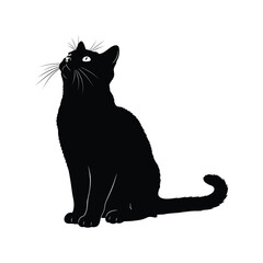 Elegant black cat sitting upright looking upwards with alert eyes vector