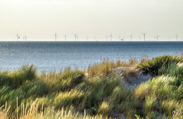 The horizon of Noordwijk beach filled with off shore wind turbines at sunset with upcoming fog