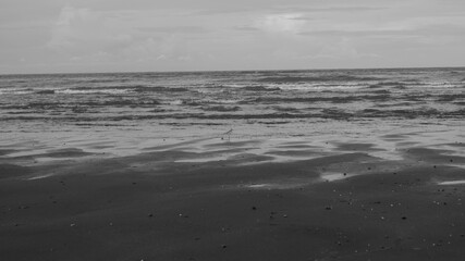 A black and white photograph of a beach bird on a sandy beach during daytime. Taken from Kalibo, Aklan, Philippines. 