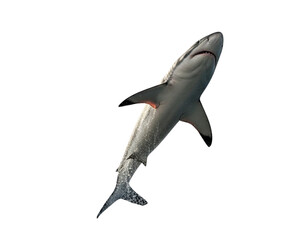 Fototapeta premium Fierce Shark Breaching Water with Splash Effect