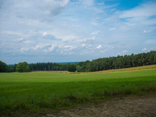 Green field in forest in Nordrhein-Westfalen, Germany