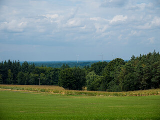 Green field in forest in Nordrhein-Westfalen, Germany