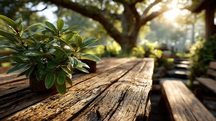 Green plant on rustic wooden table in garden.