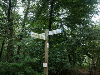 Route signs in forest in Nordrhein-Westfalen, Germany