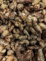 Close-up of fresh ginger roots with rough textured skin, widely used as spice and natural medicine.