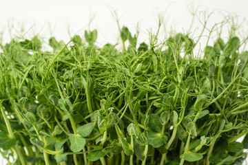 Fresh pea microgreen sprouts isolated on a white background.